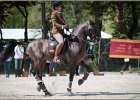 Pferd International 192